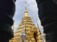“วัดพันเตา” เชียงใหม่ 