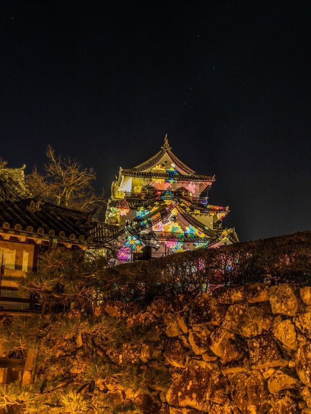 〜滋賀県〜彦根城ライトアップ✨花に包まれるpjマッピング