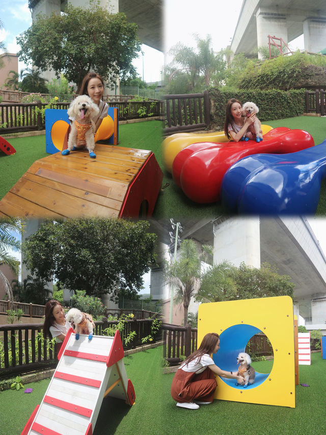 香港挪亞方舟終於變身成pet-friendly🐕嘅旅遊點啦yeah!