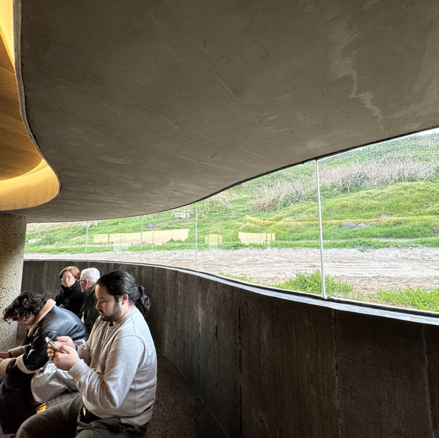 Mesmerizing March of the Penguins: A Phillip Island Adventure