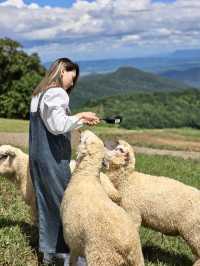 1 วันในฤดูฝน 🐑 กับแพลนแวะ 6 ที่สวยๆ บนดอยช้าง