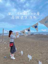 season7の仮募集開始！！海風を浴びて砂浜で転がるTシャツの展示が来年も開催👕⛱🫧【茨城県】