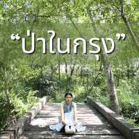 🌿พื้นที่สีเขียวจะเยียวยาทุกสิ่ง🌿