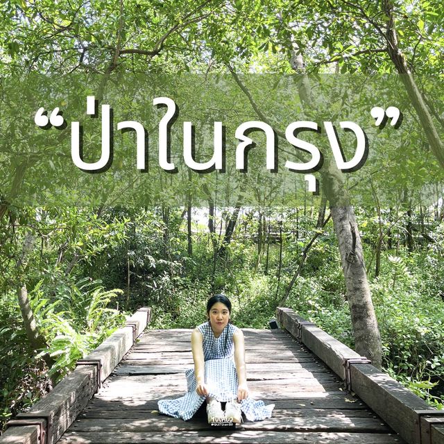 🌿พื้นที่สีเขียวจะเยียวยาทุกสิ่ง🌿