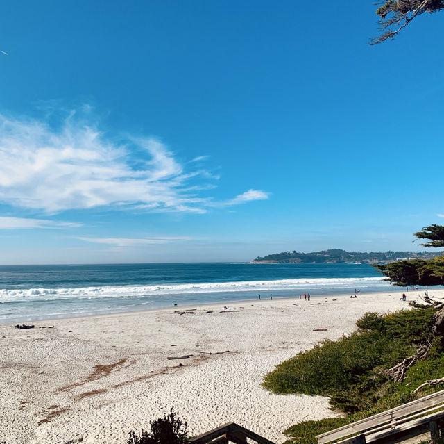 Exploring the 17-Mile Drive: A Scenic Coastal Journey
