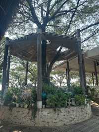 📌🏡 อาฟเตอร์นูน บางปู : Afternoon Bangpu