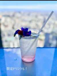 〜東京都〜室内でお花見空中散歩！Flower view🌸