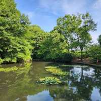 【大阪観光】雨上がりの山田池公園で夏散歩！