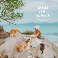 เกาะแมว สวรรค์ของเหล่าทาส! 🐈🏝