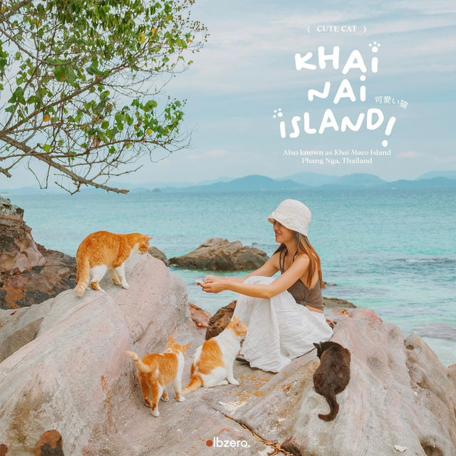 เกาะแมว สวรรค์ของเหล่าทาส! 🐈🏝
