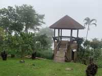 📍⭐ DoiTung Lodge จ.เชียงราย