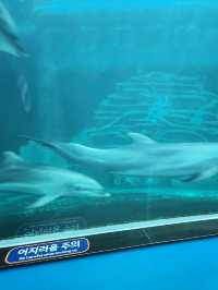 3D체험이 가능한 가을여행지 장생포생태체험관👍