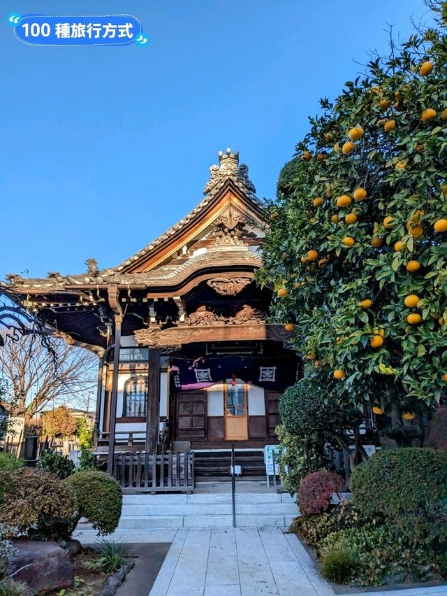 日本東京-人文薈萃的下町風情畫：谷中銀座
