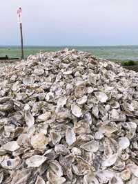 The world is your oyster • Whitstable