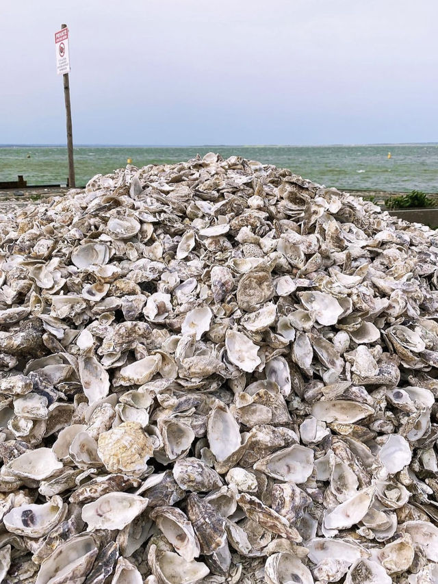 The world is your oyster • Whitstable