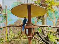 Langkawi Wildlife Park