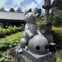 宇治6-7月盛名的繡球花園