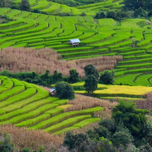 Ruộng bậc thang