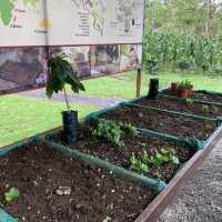 North Fields Coffee and Chocolate Tour in Costarica 
