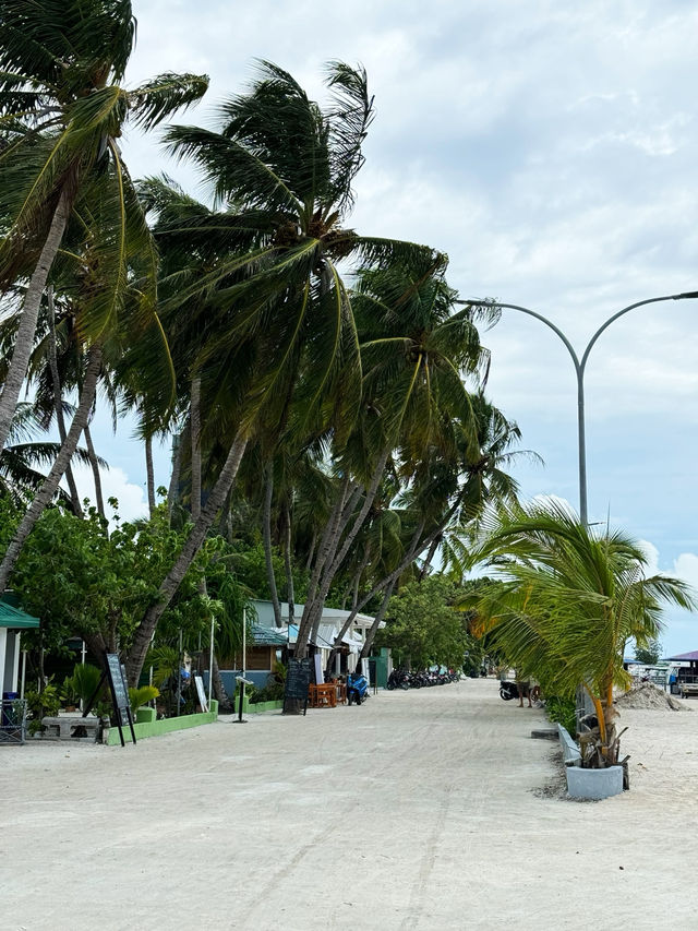🏝️ First Time in my Life