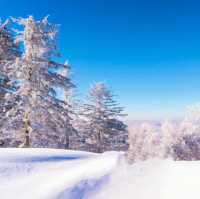 Snow Valley 雪谷( ตั้งอยู่ในเขต Wuchang) 