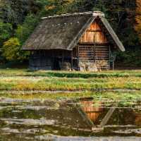 จัดจ้านที่หมู่บ้านชิราคาวาโกะ Shirakawago
