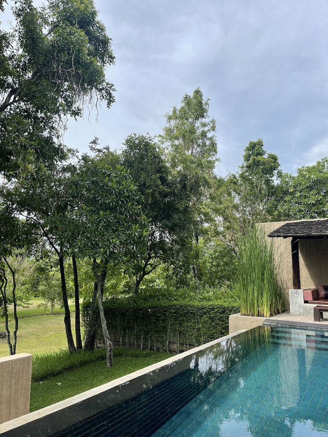  🌳Muthi Maya Forest Pool Villa