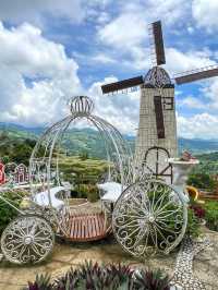 Little Amsterdam in Cebu!