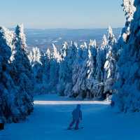 新雪谷村滑雪勝地：冬季運動的天堂⛷️❄️🏔️