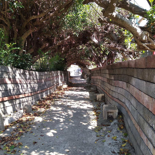 五年千歲公園