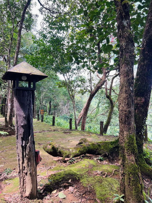 วันเดย์ อิน กาญจนบุรี 🍃 บ้านอีต่อง อ.ทองผาภูมิ