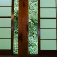 早朝座禅が体験できるお寺【別所温泉】