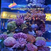 SEA LIFE Bangkok Ocean World