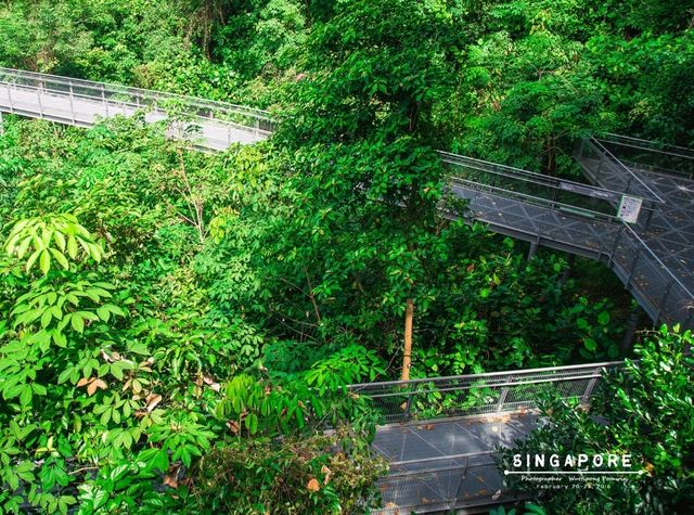 ทางเดินลอยฟ้า The Southern Ridges