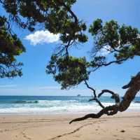 Hot Water Beach