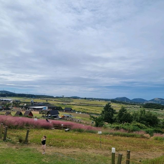 제주 새빌카페