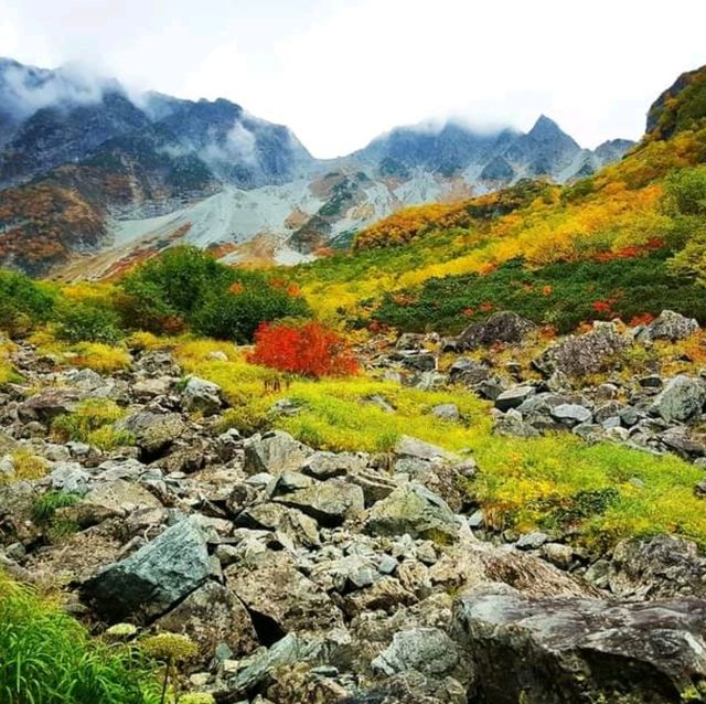 Kamikochi คามิโคจิ