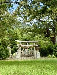 【山口県】玉祖神社の旧鎮座地