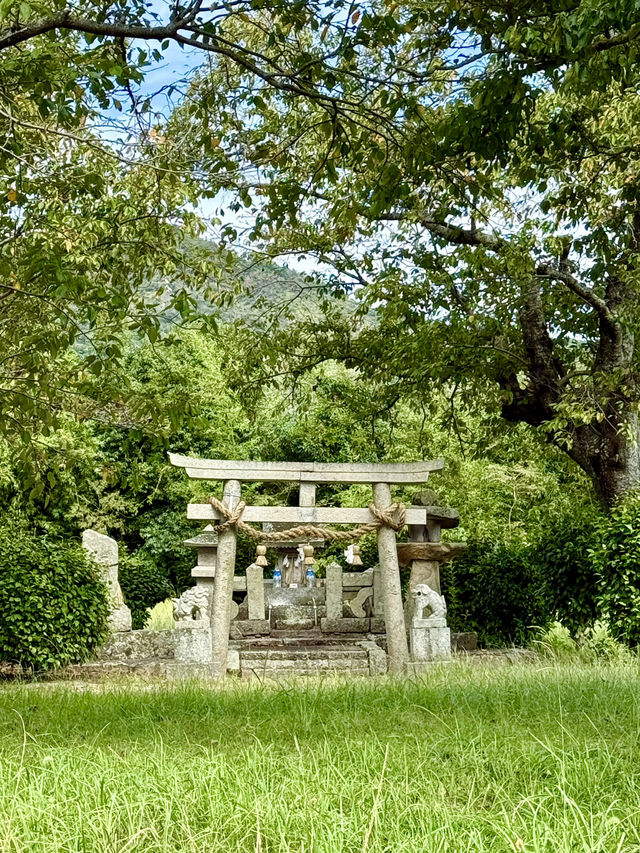 【山口県】玉祖神社の旧鎮座地