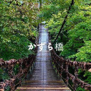 【福井】驚險刺激！戀人聖地吊橋🩵🩵