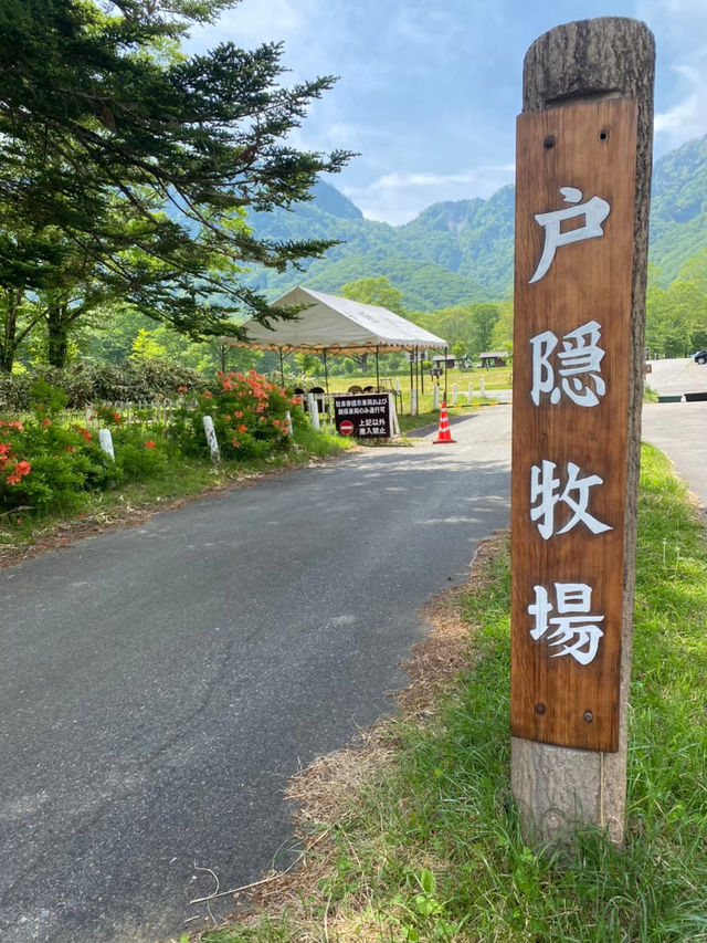 【戸隠】戸隠にある最強牧場🐮🔥