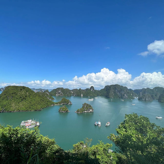 ล่องเรือที่อ่าวฮาลองเบย์ (Halong Bay) 🥰