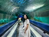 ตะลุยโลกใต้ทะเลที่อควาเรียมบางแสน 🌊🐠