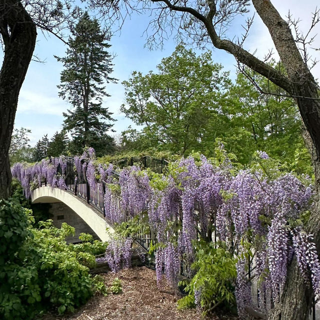 家園植物園：綠意自然樂園 🌿🌼