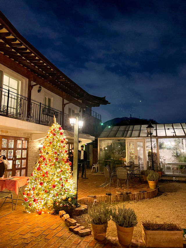 유럽 가정집st 예쁜 트리맛집🎄✨