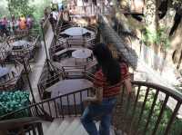 รับลมชมวิว จิบกาแฟ บนต้นไม้ใหญ่ 🌳☕️