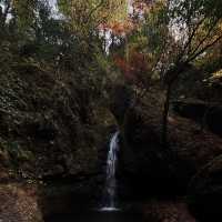 三池岳：初秋絕美🏞️🍂