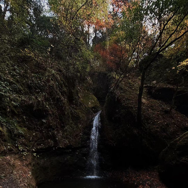 三池岳：初秋絕美🏞️🍂