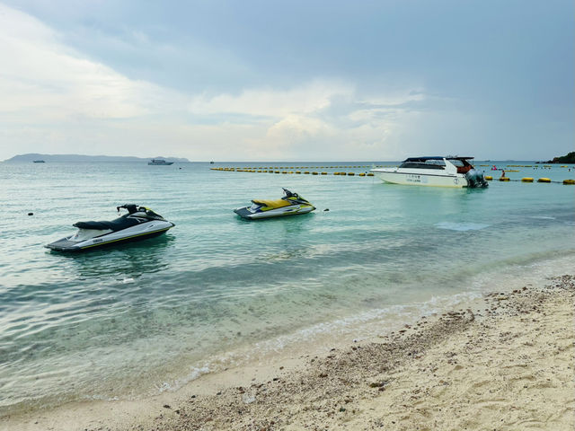 ชวนไปถ่ายรูปกับฝูงน้องห่านที่หาดเทียน
