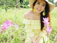 อุทยานแห่งชาติป่าหินงาม